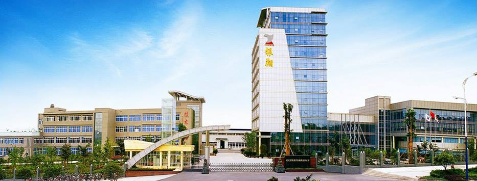 508164331 10064145000305167 7285418088136233893 n